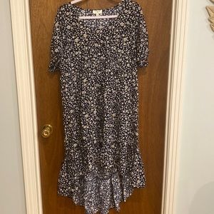 Umgee daisy dress
